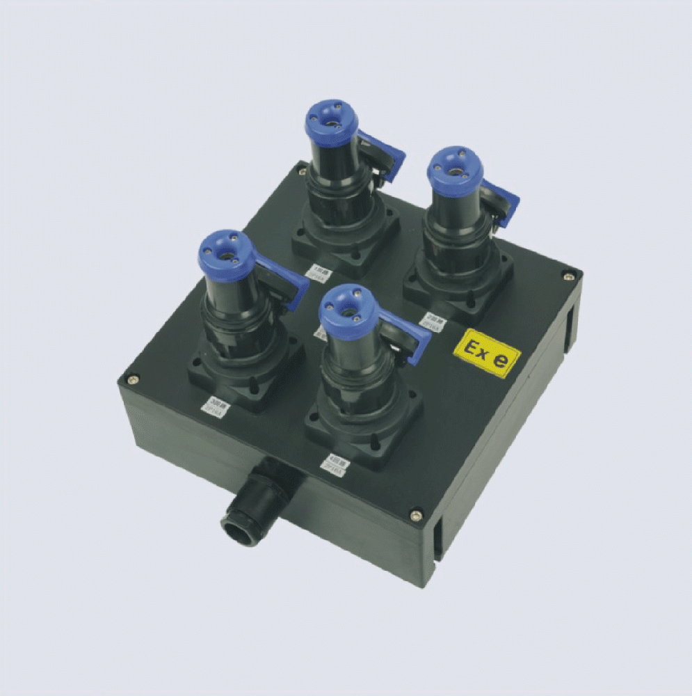 BXX8050-系列防爆防腐檢修電源插座箱(IIC、 ExtD)